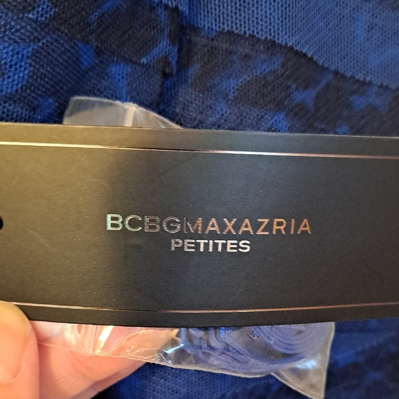 ✨️NWT✨️ BCBGMaxAzria Elegant Blue Striped Mini Dress, Size 4P - Picture 2 of 8